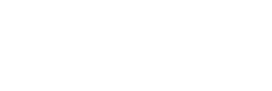Ravy Transport